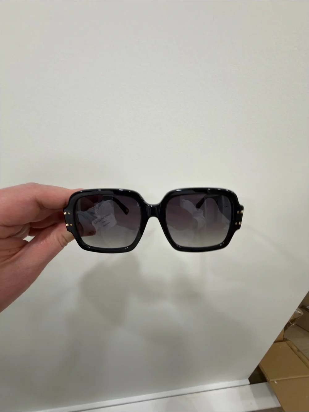 Carolina Lemke Suri Shiny Black Frame Sunglasses with Gold Accent Luxury Case